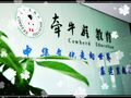 牵牛娃中文学校 - Cowherd Chinese Education photo 6