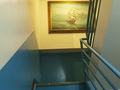 中美客居 photo 7