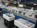金山亚洲超市 - kam sen foods market photo 2