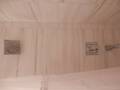 The G Suites photo 7