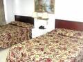 New World Hotel 图片 8