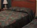 Morningside Inn photo 15
