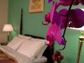 Hotel St. James 图片 15
