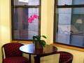 Hotel St. James 图片 10
