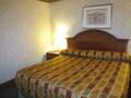 Travel Inn 图片 8