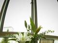 Hotel Mulberry 图片 8