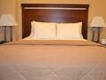 Comfort Inn Manhattan Bridge photo 6