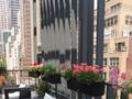 Carvi Hotel New York photo 11