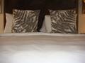 414 Hotel 图片 8