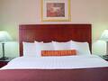 Best Western Plus Arena Hotel 图片 11