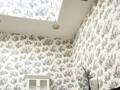 Bed And Breakfast photo 10