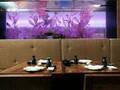 Best Western Plus President Hotel At Times Square 图片 5