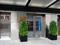 The Solita Soho Hotel 图片 6