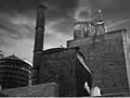 New York photo 20