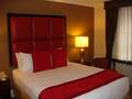 Fitzpatrick Grand Central Hotel photo 7