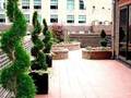 San Carlos Hotel New York photo 10