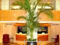 San Carlos Hotel New York photo 12