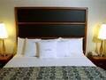 Doubletree Suites By Hilton NYC Times Square photo 13