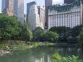 The Plaza photo 9