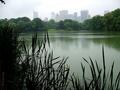 Central Park photo 2