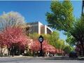 长岛商学院 图片 1