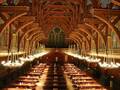 Harvard University photo 2