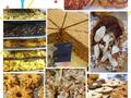 Grandaisy Bakery 图片 1