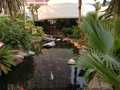 Flamingo photo 5