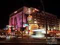 Flamingo photo 3