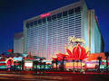 Flamingo photo 2