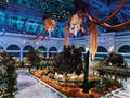 Bellagio photo 10