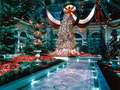 Bellagio photo 7