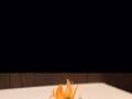 Shanghai Broadway Restaurant photo 9