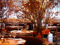 Park Avenue restaurant photo 1