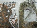 Sun’s Organic Tea Shop 图片 2