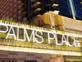 Palms Place Hotel And Spa photo 6