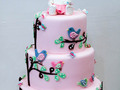 Silk Cakes photo 2
