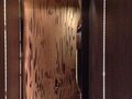 雅 图片 1
