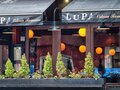 Lupa 图片 1