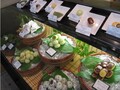 Minamoto Kitchoan photo 11