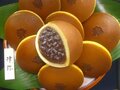 Minamoto Kitchoan photo 1