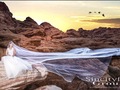 百爵芝加哥婚礼婚纱摄影旅拍团队 图片 4