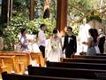 百爵芝加哥婚礼婚纱摄影旅拍团队 图片 2