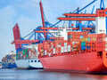 Lead Ocean Inc photo 3