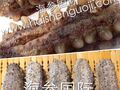 海参国际 - HAISHENGUOJI photo 6