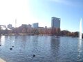 Hermann Park Conservancy 图片 1