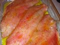 Isaacson & Stein Fish Co. 图片 5