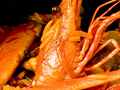 Isaacson & Stein Fish Co. 图片 3