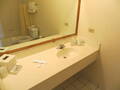Amber Inn Chicago photo 3