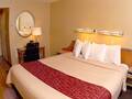 Red Roof Inn Chicago Downtown photo 22